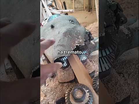 Video I vostri genitori sono mai stati così iperprotettivi da rischiare di farvi morire?