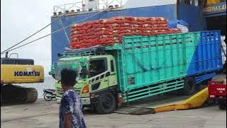 truck lintas jawa - kalimantan !! banyak hino keren