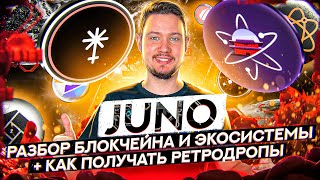 Будет ли JUNO расти? | Разбор блокчейна и экосистемы