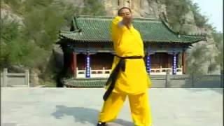 Shaolin Chan Yuan Gong 少林 禪圓功 or 禅圜功