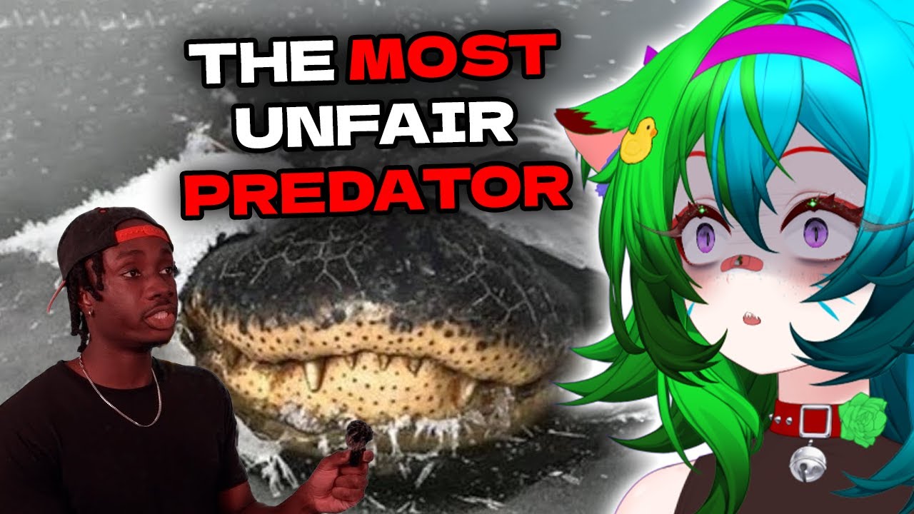 Крокодилы — это КОШМАР природы!!! | CasualGeographic Reaction