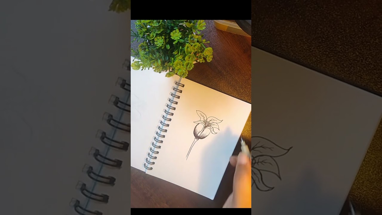 How to draw 