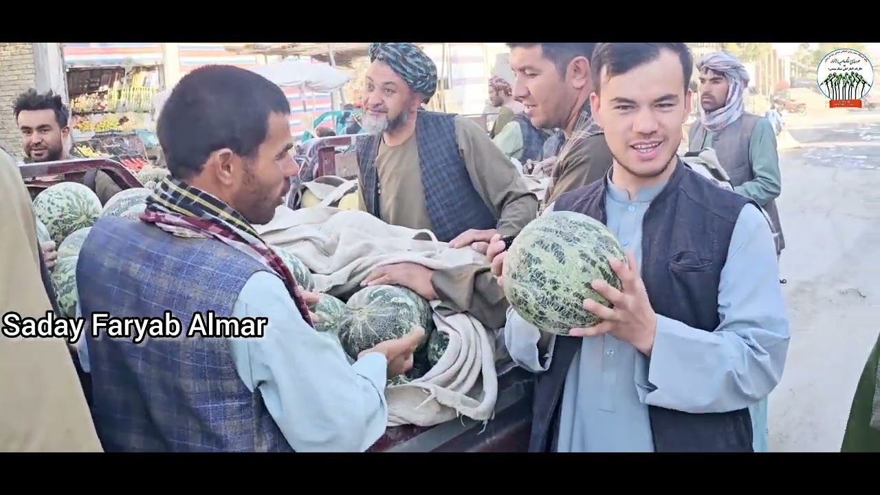 آیا تا به حال خربوزه ولسوالی المار ولایت فاریاب شهرت فرامنطقه‌ای ای دارد خوردید.