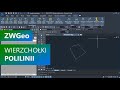 ZWGeo - wierzchołki polilinii