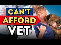 When You Can T Afford The Vet A Vet S Honest Advice 