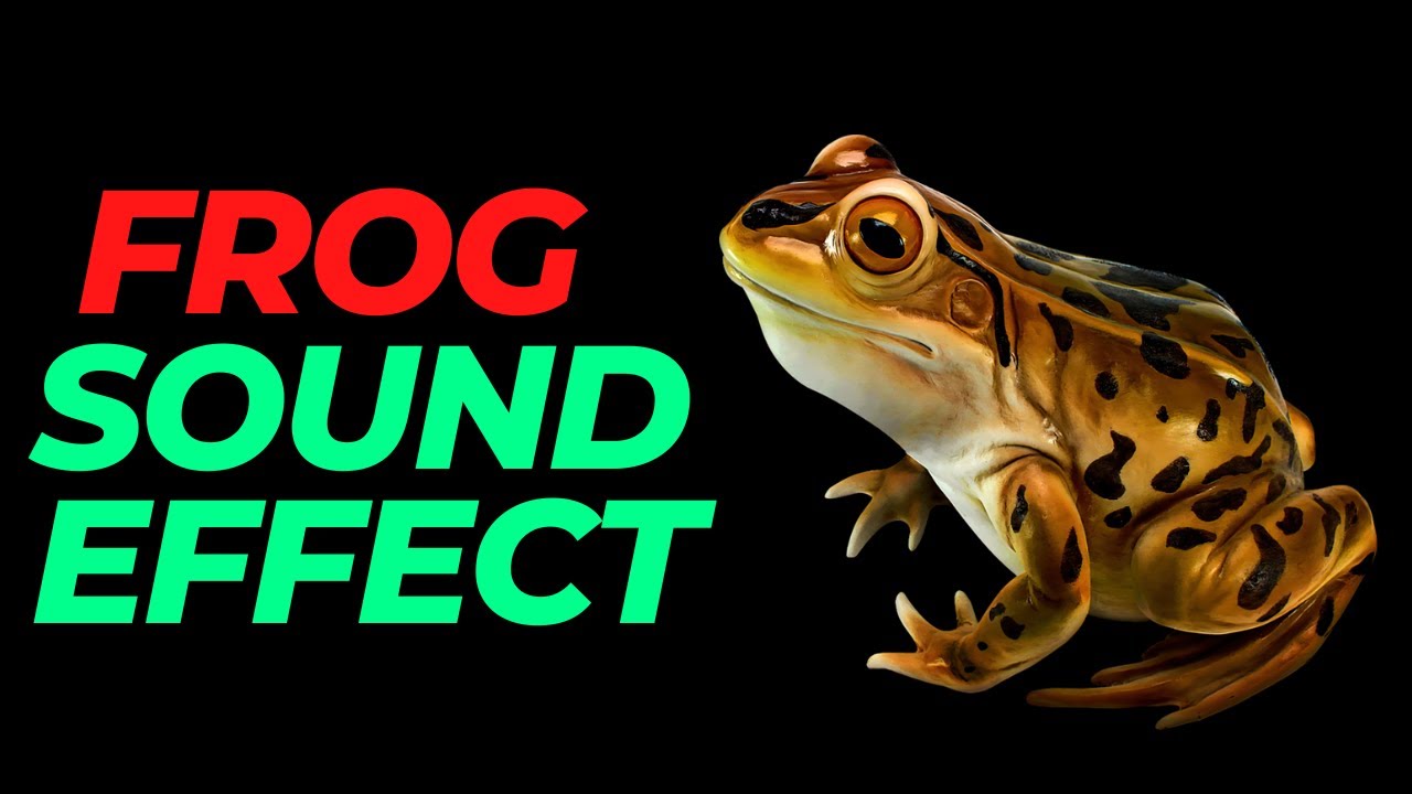 Frog sound effect no copyright Frog noises Frog sounds HQ Frog