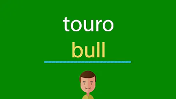 Como escrever Touro?