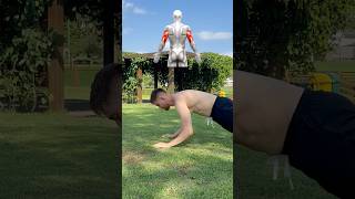 Tríceps, Peito E Ombro Na Calistenia Com Pequenos Ajustes