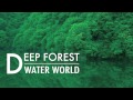 Deep Forest - Water World
