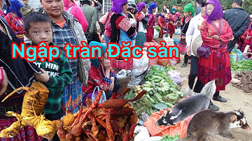 Khám Phá Chợ Phiên TỦA CHÙA CHỢ PHIÊN BÁN NHIỀU ĐỒ QUÝ NHẤT ĐIỆN BIÊN | Chợ Tủa Chùa Điện Biên