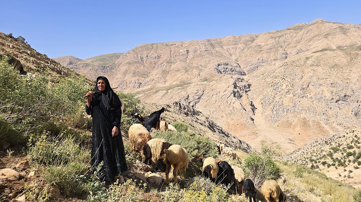 A Journey to the Ranges of Iran: A Day with a Nomadic Woman in the Mountains