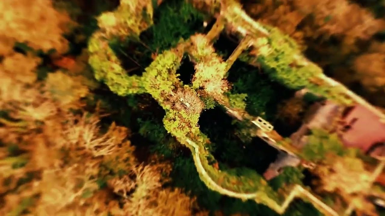 Barron Hill - Beaumaris