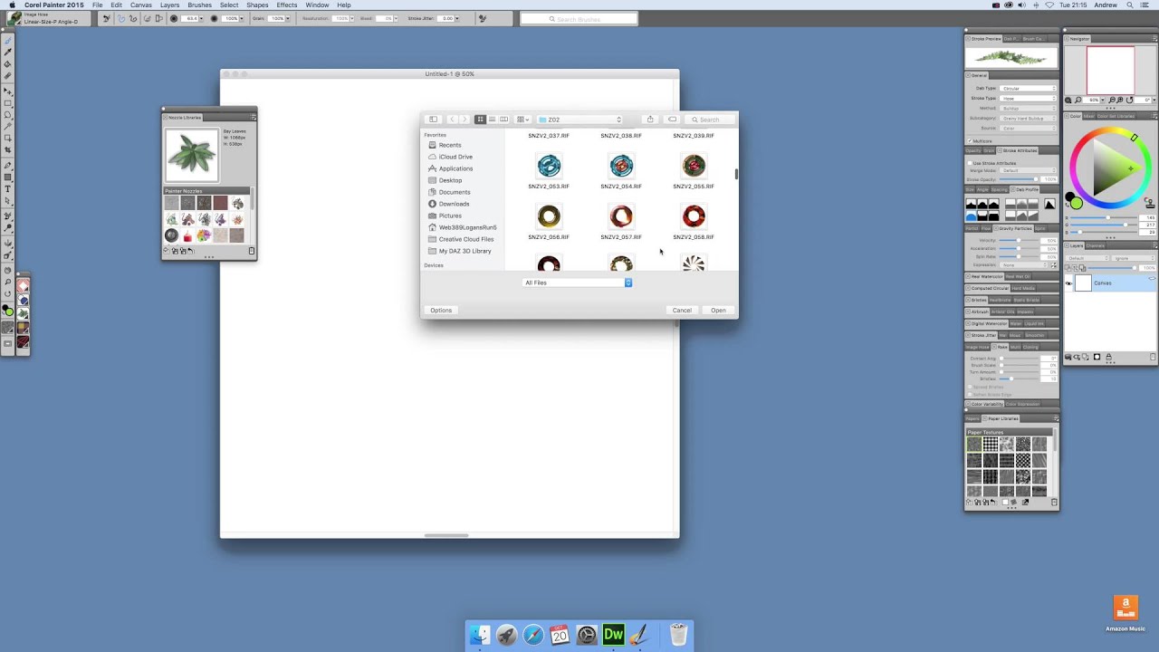 Corel Painter : How To Load Nozzles / RIFF Files Tutorial ...