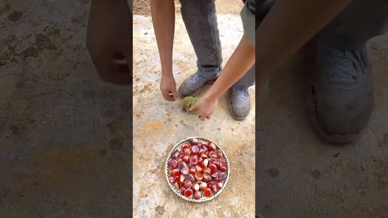 China ke Aise Phal Jo Aapne Kabhi Nahi Dekhe!” 🍓🇨🇳High-Ranking Hashtag: