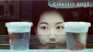 Cinestill 800T - Tips for Shooting Film at NIGHT｜底片·夜晚攝影·台北水族街