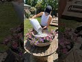 DIY Solar Garden Fountain 💧