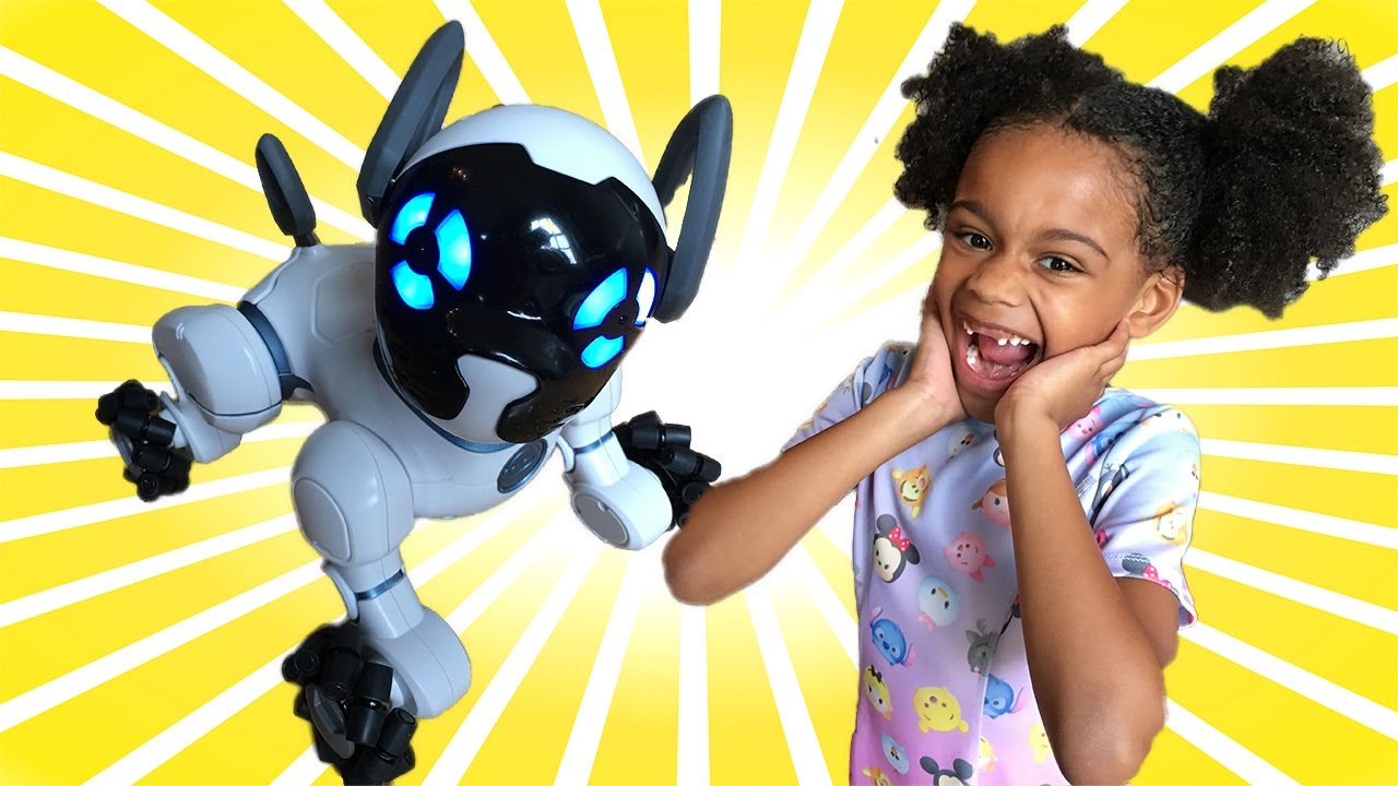 Magic Toy Surprise Puppy | Christmas Gift Joke with Chip the Robot Dog