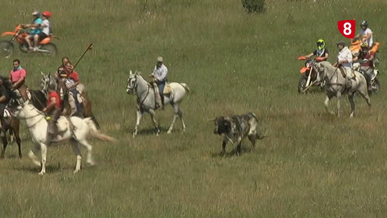 LA SACA 2016 2ª PARTE