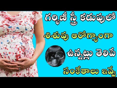 గర్భిణీ స్త్రీ కడుపులో శిశువు ఆరోగ్యాంగా ఉన్నట్లు తెలిపే సంకేతాలు ఇవ్వే I Tarhun films