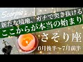 さそり座♏️2026年6月後半〜7月前半🌝衝撃的な始まり！これはかなり突き抜けそう、嘘はつけない、全部繋がる瞬間、開けてくる
