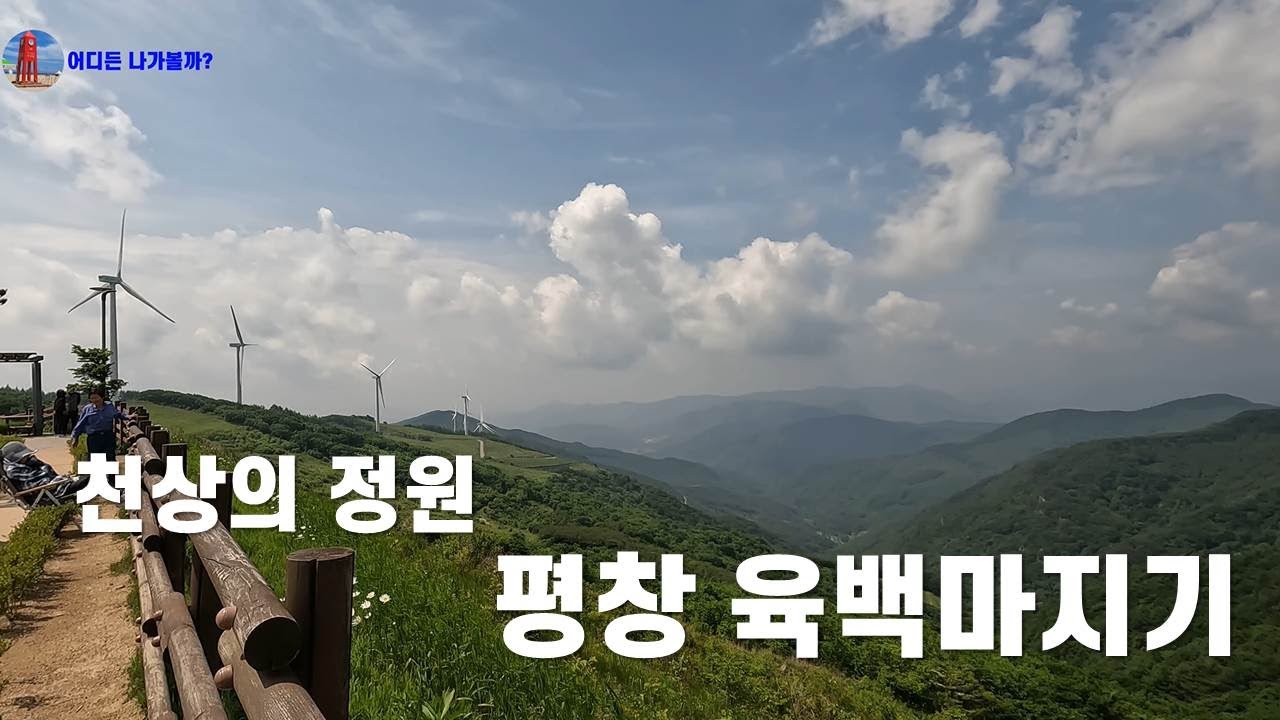 인생사진은 여기서  #평창 미탄#육백마지기