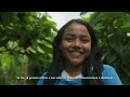Special Production: Cocoa-Producing Families