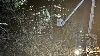 Tree takes out power lines on Narmore Drive in Atlanta
