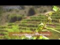 Spanish organic wine from Ribera del Duero - generacionnatura.org