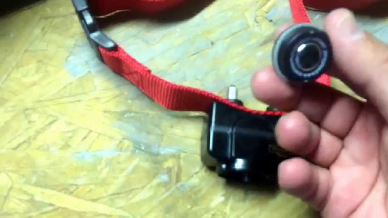 wireless dog collar batteries