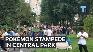 A Rare Pokémon Caused A Huge Stampede In Central Park screenshot 3
