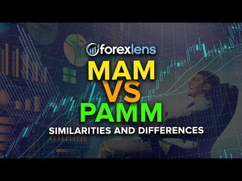MAM vs. PAMM Account in Forex Trading (Similarities & Differences)
