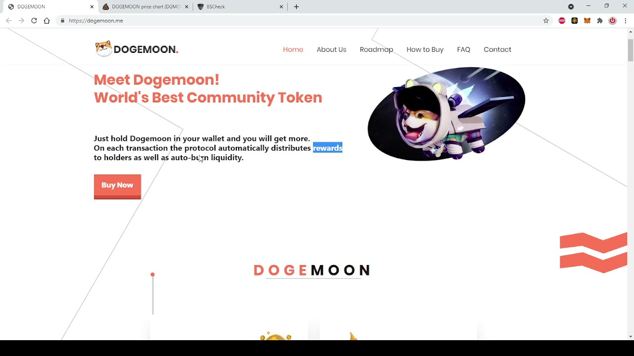 DOGEMOON- No future. Not Investable