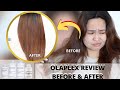 Olaplex Before and After|  IS IT WORTH IT?