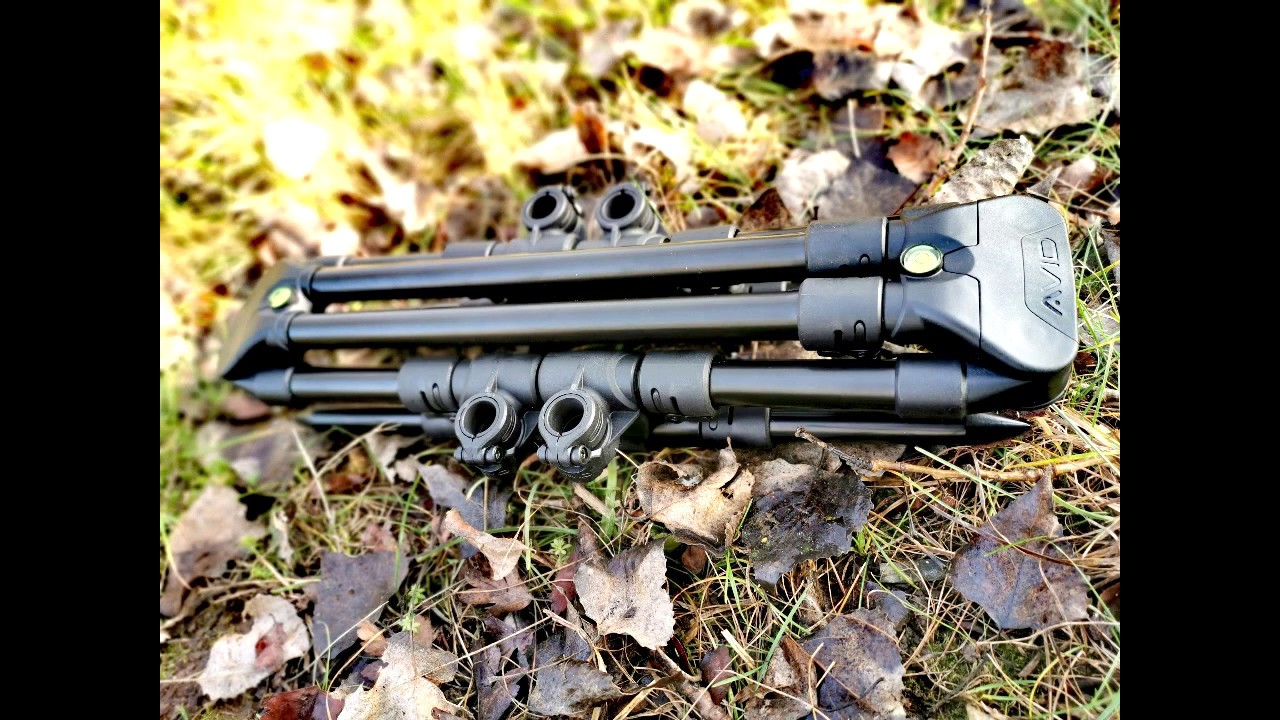 Avid Carp Rod Pod Vorstellung Karpfenangeln Rodpod Avidcarp