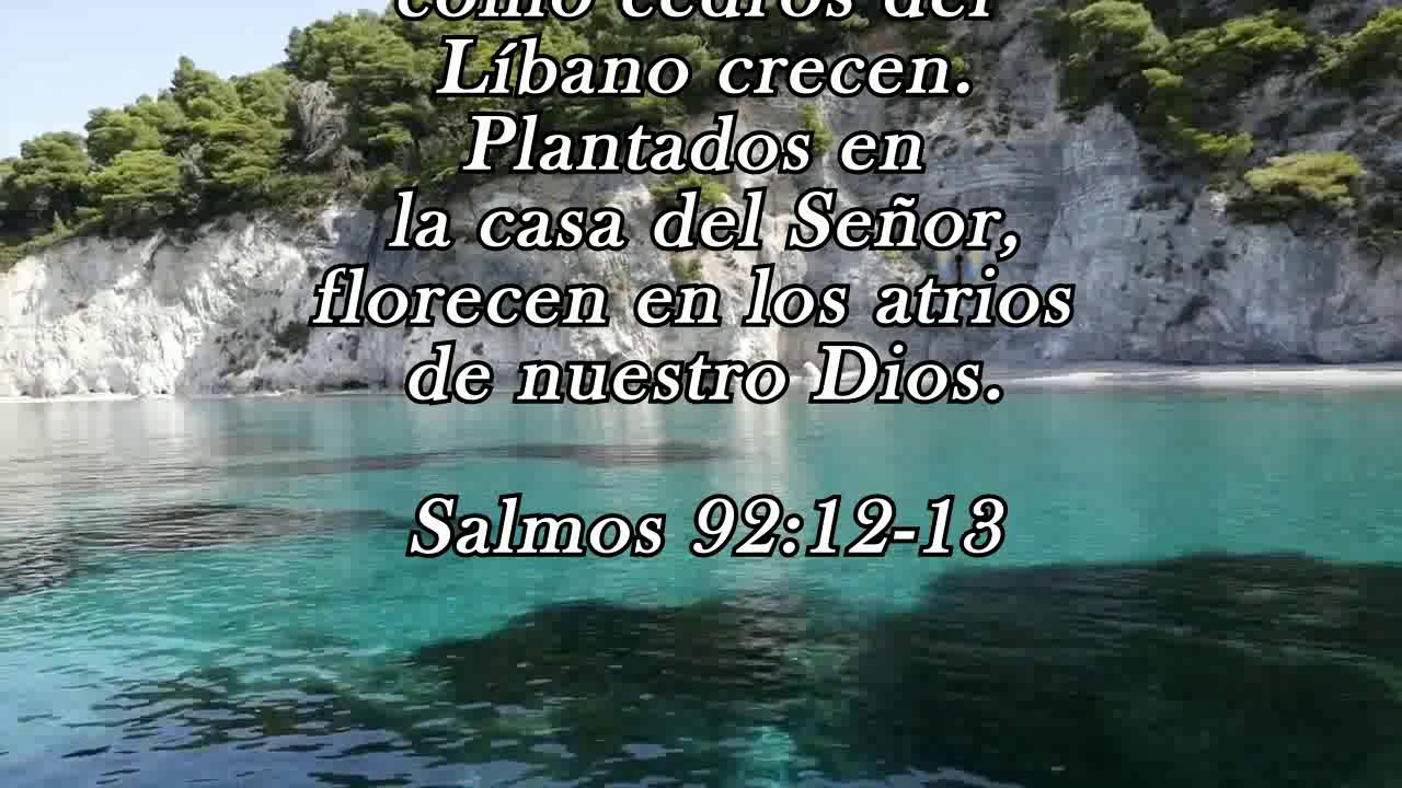 MENSAJES ETERNOS - Salmos 92 12 13 - YouTube
