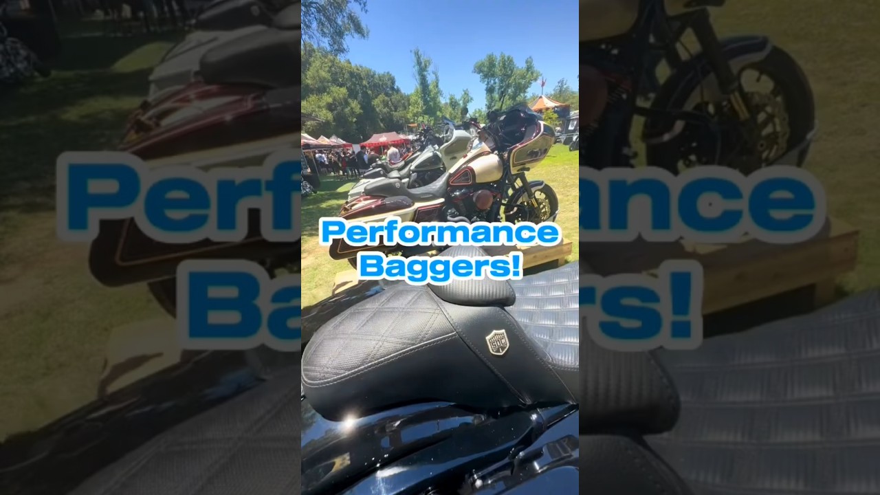 Harley Performance Baggers Born Free 15 