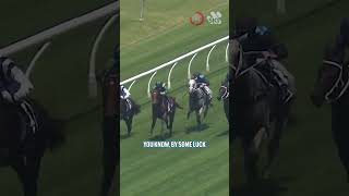 Hes the nicest yearling that weve ever seen! 🔥 Can HIDRIX win the Golden Slipper? 🤔