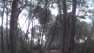 Entrene Amigos De El Saler