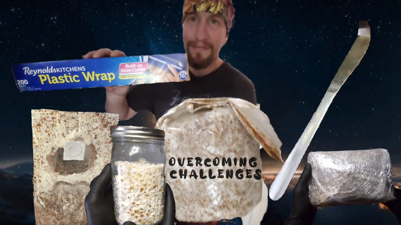 Overcoming Challenges: Hericium Spawn to Bulk and Block Transfer