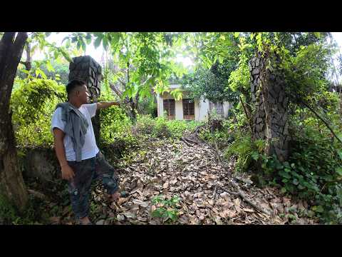 This House Was Swallowed by the Forest...