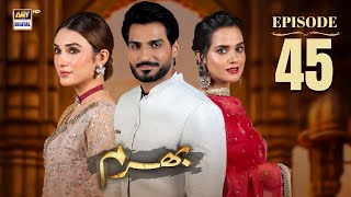 Bharam Episode 45 Hina Tariq Omer Shahzad 28 Jan 2025 English Subles Ary Digital