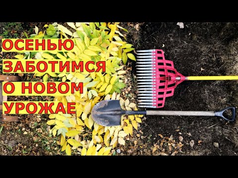 Работы В ОГОРОДЕ осенью, облегчаем летний труд