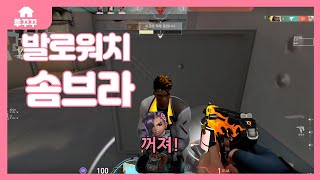 발로란트 하는 솜브라