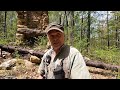 The Old Stone Chimney In The Woods