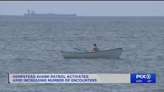 Shark patrol activated on Long Island after repeated shark encounters