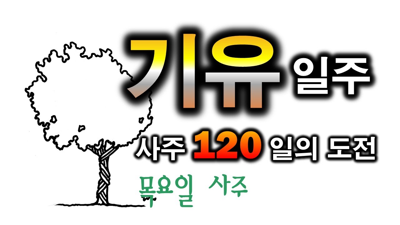 기유일주 한방정리(95일차)