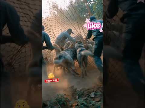 a farmer story#new#video#gernater#trendingshorts#like#channel#subscribe#support#shorts#short#viral