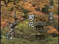 【懐かしの名舞台】「菊花」(吟詠)田畑水姫