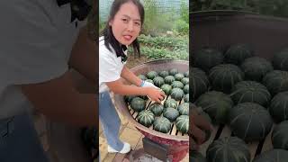 Agriculture Village Fresh Fruit #Viral #Fruit #Shorts #1114