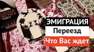 Эмиграция ПЕРЕЕЗД Что там ждет...‼️Гадание на Таро он-лайн Fortune-telling/таро онлайн